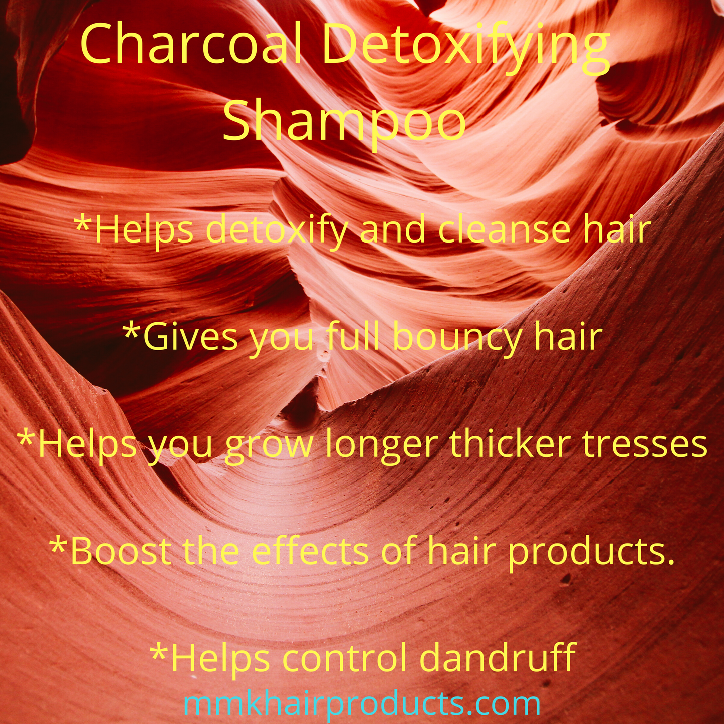 Charcoal Detoxifying Shampoo